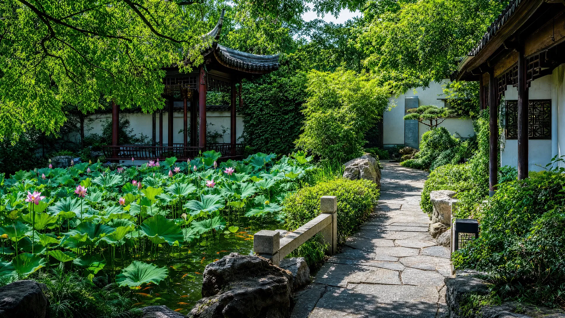 夏季庭院景观